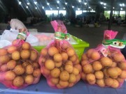 Mua sắm - Giá cả - Nhãn 'khủng' Tây Bắc bất ngờ xuất khẩu sang Mỹ