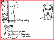 Tin tức - Chuyên gia hướng dẫn cách xử lý thượng mã phong khi quan hệ