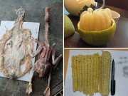 Bếp Eva - Những màn lột vỏ bỏ da thực phẩm hoàn hảo đến mức dân mạng muốn phong “thánh”