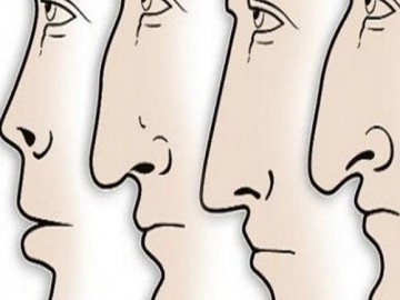 5 tướng mũi phú quý, ai sở hữu nó sẽ giàu sang cả một đời