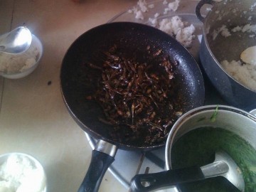 Bữa cơm đạm bạc ngày bão khiến bao người rưng rưng thương về miền Trung