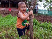 Hình ảnh mới nhất của bé trai bị đâm xuyên não cách đây hai năm