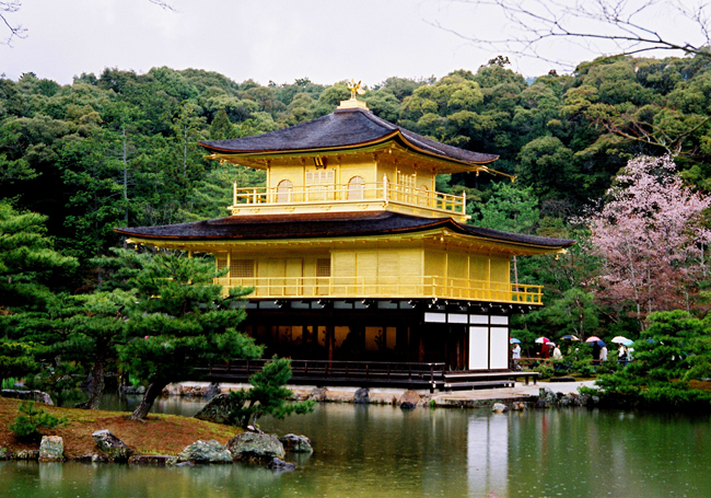Chùa vàng nổi tiếng tới mức được đưa vào sách giáo khoa giảng dạy tại các trường học trên khắp nước Nhật và được UNESCO công nhận là di sản văn hóa thế giới tuy nhiên từ năm 1950 một tiểu tăng đã đốt cháy toàn bộ chùa cùng với 6 di sản văn hóa quan trọng trong chùa.