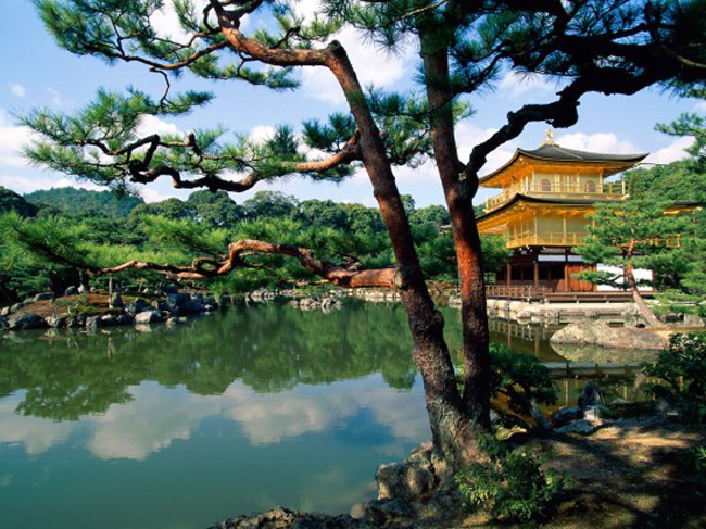 Nét đặc trưng nhất về sự tinh xảo và cầu kì của Chùa Vàng chính là một vị thế rất ấn tượng giữa những tán xanh của cây lá và ánh sáng tinh khiết phản chiếu của hồ nước tĩnh lặng. Bức tranh được vẽ nên từ ý tưởng về sự tồn tại giữa chốn thiên đường và trần thế. Sự hài hòa của ngôi chùa cùng với bóng nước hư thực làm nên một Kinkaku - viễn cảnh nổi tiếng nhất của Kyoto.