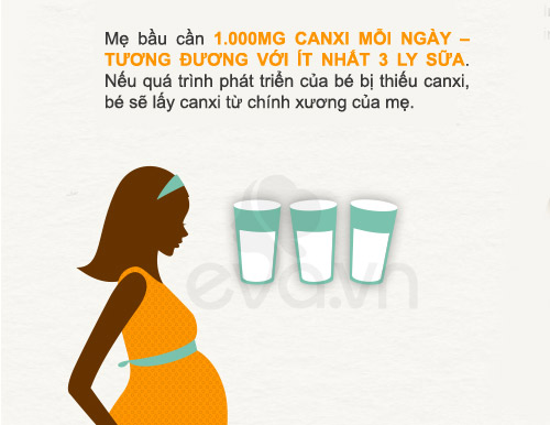 Dưỡng chất #039;sống còn#039; cho thai nhi - 3