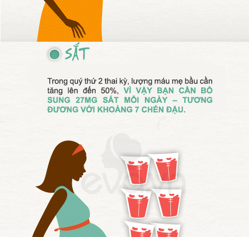 Dưỡng chất #039;sống còn#039; cho thai nhi - 4