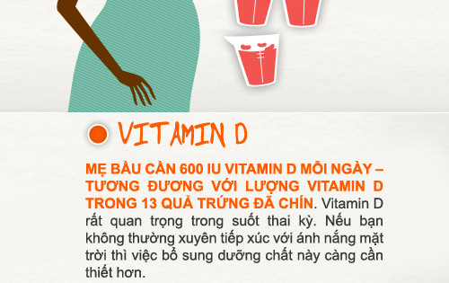 Dưỡng chất #039;sống còn#039; cho thai nhi - 5