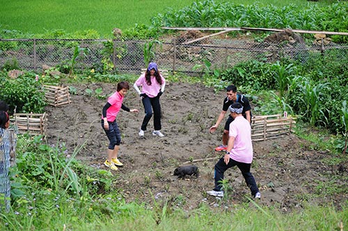 Quyết liệt vòng bán kết Cuộc đua kỳ thú 2013 - 8