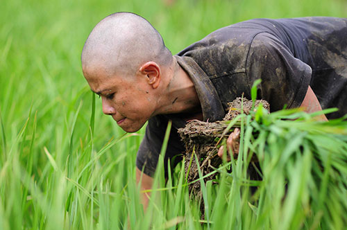 Quyết liệt vòng bán kết Cuộc đua kỳ thú 2013 - 9