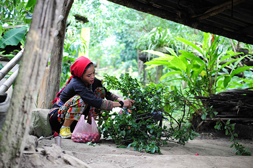 Quyết liệt vòng bán kết Cuộc đua kỳ thú 2013 - 6