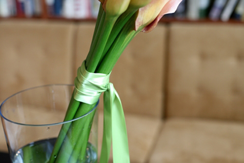 Hoa đẹp 20-10: 3 mẫu hoa Rum dễ cắm - 7