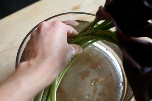 Hoa đẹp 20-10: 3 mẫu hoa Rum dễ cắm - 12