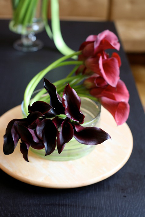 Hoa đẹp 20-10: 3 mẫu hoa Rum dễ cắm - 15