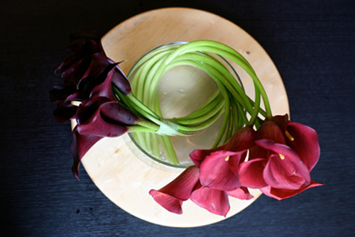 Hoa đẹp 20-10: 3 mẫu hoa Rum dễ cắm - 16