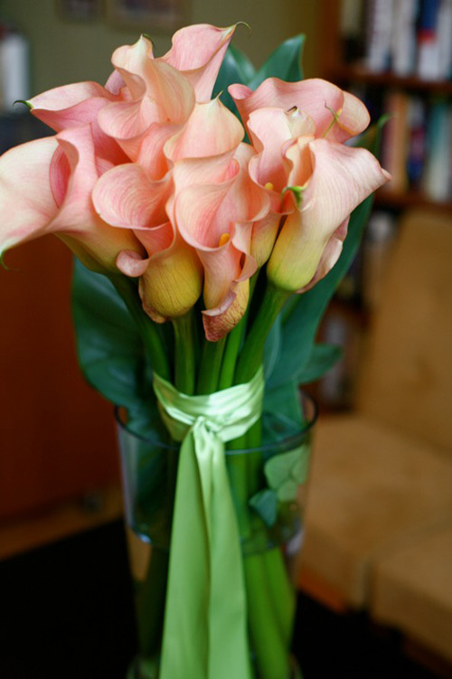 Hoa đẹp 20-10: 3 mẫu hoa Rum dễ cắm - 20