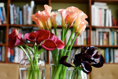 Hoa đẹp 20-10: 3 mẫu hoa Rum dễ cắm - 4