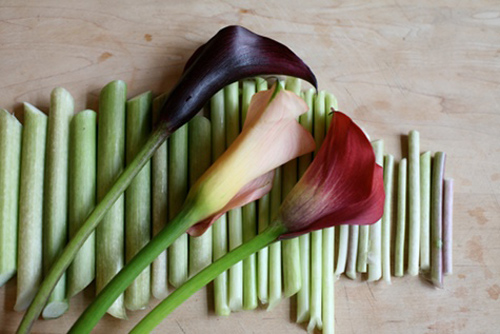 Hoa đẹp 20-10: 3 mẫu hoa Rum dễ cắm - 5