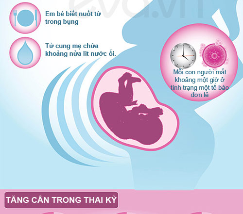 Bí mật thai kỳ giờ mới tiết lộ - 2