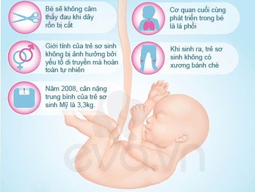 Bí mật thai kỳ giờ mới tiết lộ - 7