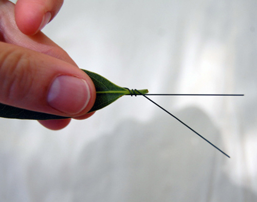 Hoa đẹp 20-10: Kết hoa xinh cho nàng 20 - 2