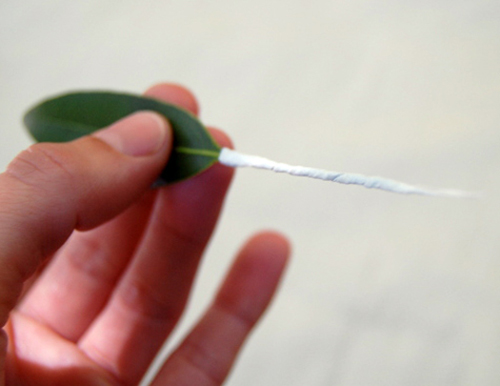 Hoa đẹp 20-10: Kết hoa xinh cho nàng 20 - 3