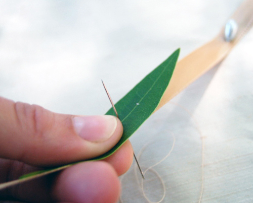 Hoa đẹp 20-10: Kết hoa xinh cho nàng 20 - 5