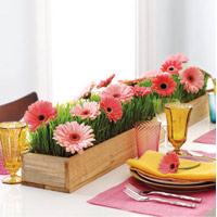 Hoa đẹp 20-10: Kết hoa xinh cho nàng 20 - 15