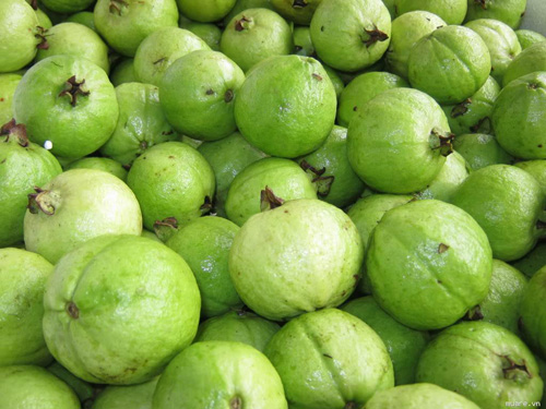 Mùa thu: Chị em thích món ăn vặt nào? - 2
