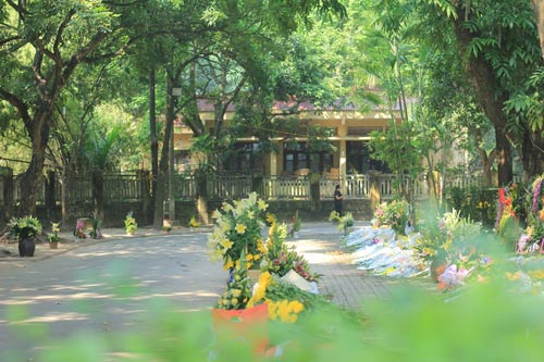 Hết ngày viếng, người dân vẫn đổ về nhà Đại tướng - 5