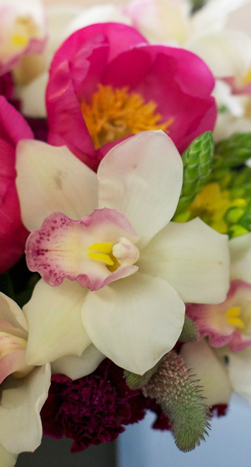 Hoa đẹp 20-10: Cắm Địa lan để bàn #039;hút mắt#039; - 1