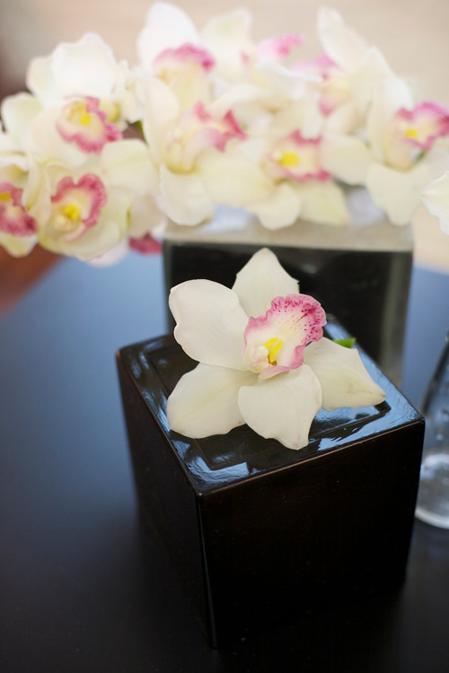 Hoa đẹp 20-10: Cắm Địa lan để bàn #039;hút mắt#039; - 3