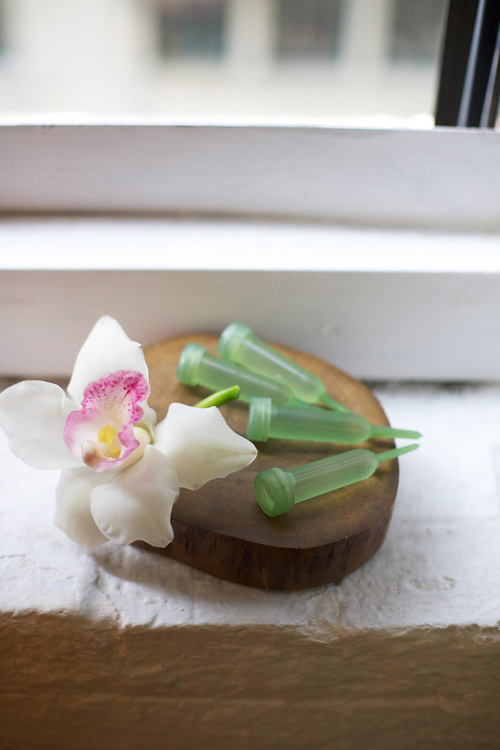 Hoa đẹp 20-10: Cắm Địa lan để bàn #039;hút mắt#039; - 4