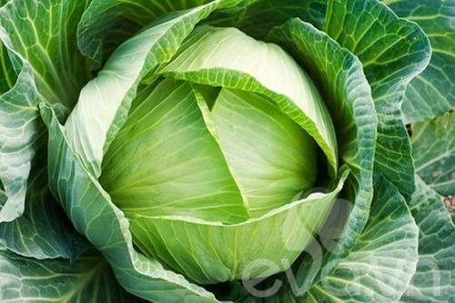 10 loại rau củ quả giúp #039;detox#039; cơ thể - 4