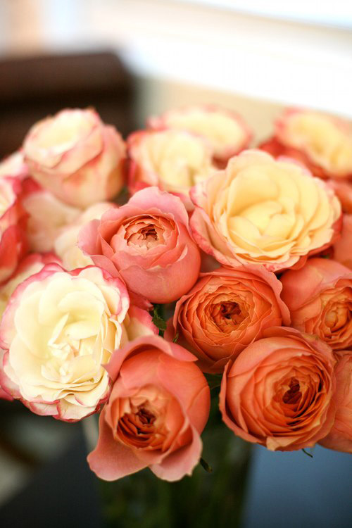 Hoa đẹp 20-10 cắm hoa hồng để chồng thêm yêu