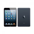 Eva Sành điệu - iPad mini 2 khó có màu vàng sâm panh?