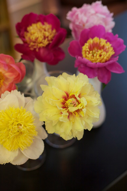 Hoa đẹp 20-10: Cắm Mẫu đơn làm điệu bàn ăn - 1