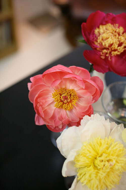 Hoa đẹp 20-10: Cắm Mẫu đơn làm điệu bàn ăn - 2