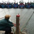 Tin tức - Huế, Đà Nẵng căng mình chống bão cấp 12