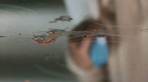 Bí kíp vệ sinh bếp nấu sạch, an toàn - 1