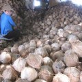 Mua sắm - Giá cả - Dừa khô tăng giá