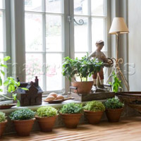 Phong thủy giúp công việc thăng tiến - 14