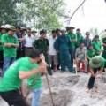 Tin tức - Kịch bản bốc mộ liệt sĩ của "cậu Thủy"