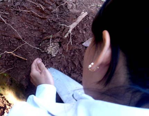 quot;Ngoại cảm gì mà nhiều như nấm sau mưa!quot; - 2