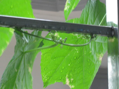 Cách hay để #039;đánh bay#039; nếp nhăn - 5