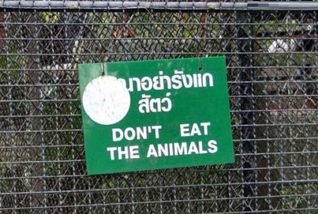 Nhìn biển báo này thì sợ quá rồi. 'Không ăn động vật', không cảnh báo thì cũng chẳng ai dám ăn
