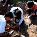 Tin tức - "Ngoại cảm gì mà nhiều như nấm sau mưa!"