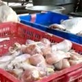 Mua sắm - Giá cả - Thịt gà ươn chảy để cả năm vẫn đắt hàng