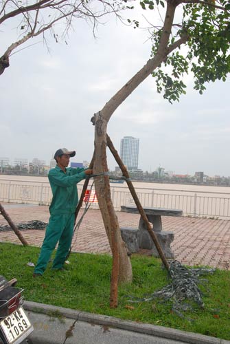 Dân miền Trung bắt đầu chạy siêu bão HaiYan - 2