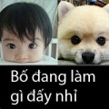 Làm mẹ - "Sao bố cướp ti mẹ của con?"