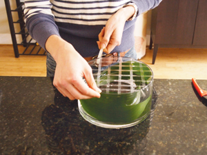 Cắm hoa xen quả đơn giản, đẹp mắt - 3